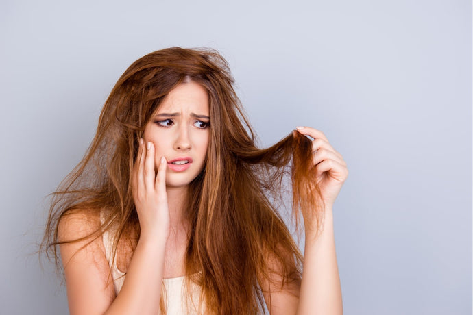 Bye Bye Dry & Damaged Hair: Effective Solutions For Your Gorgeous Locks!